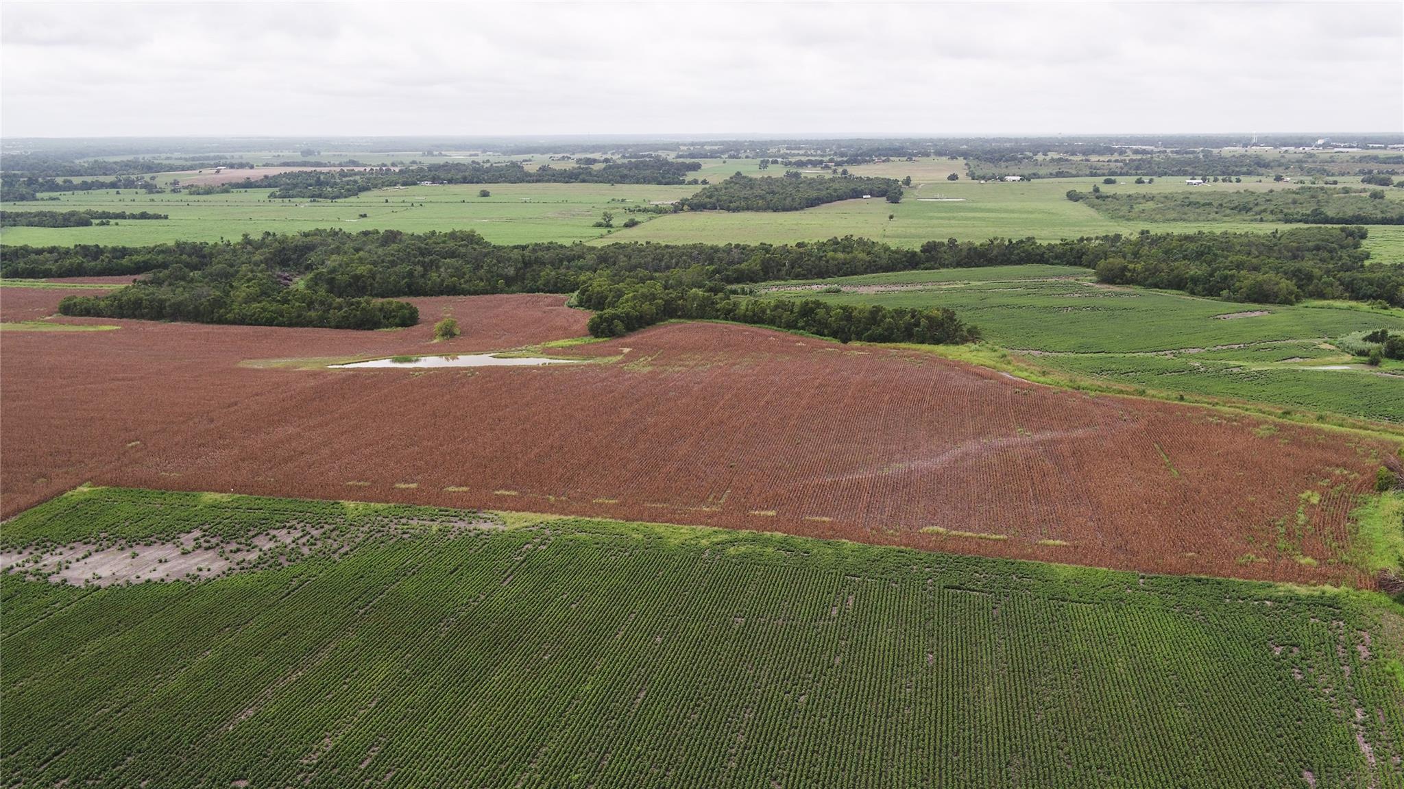 Tbd Cr 240a Property Photo 20