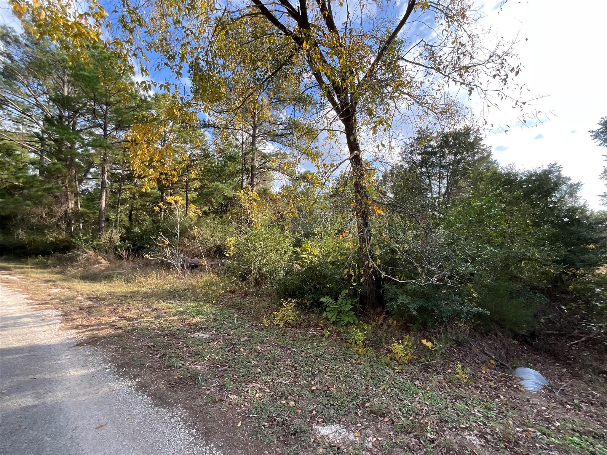120 Shore Front Dr Property Photo 10