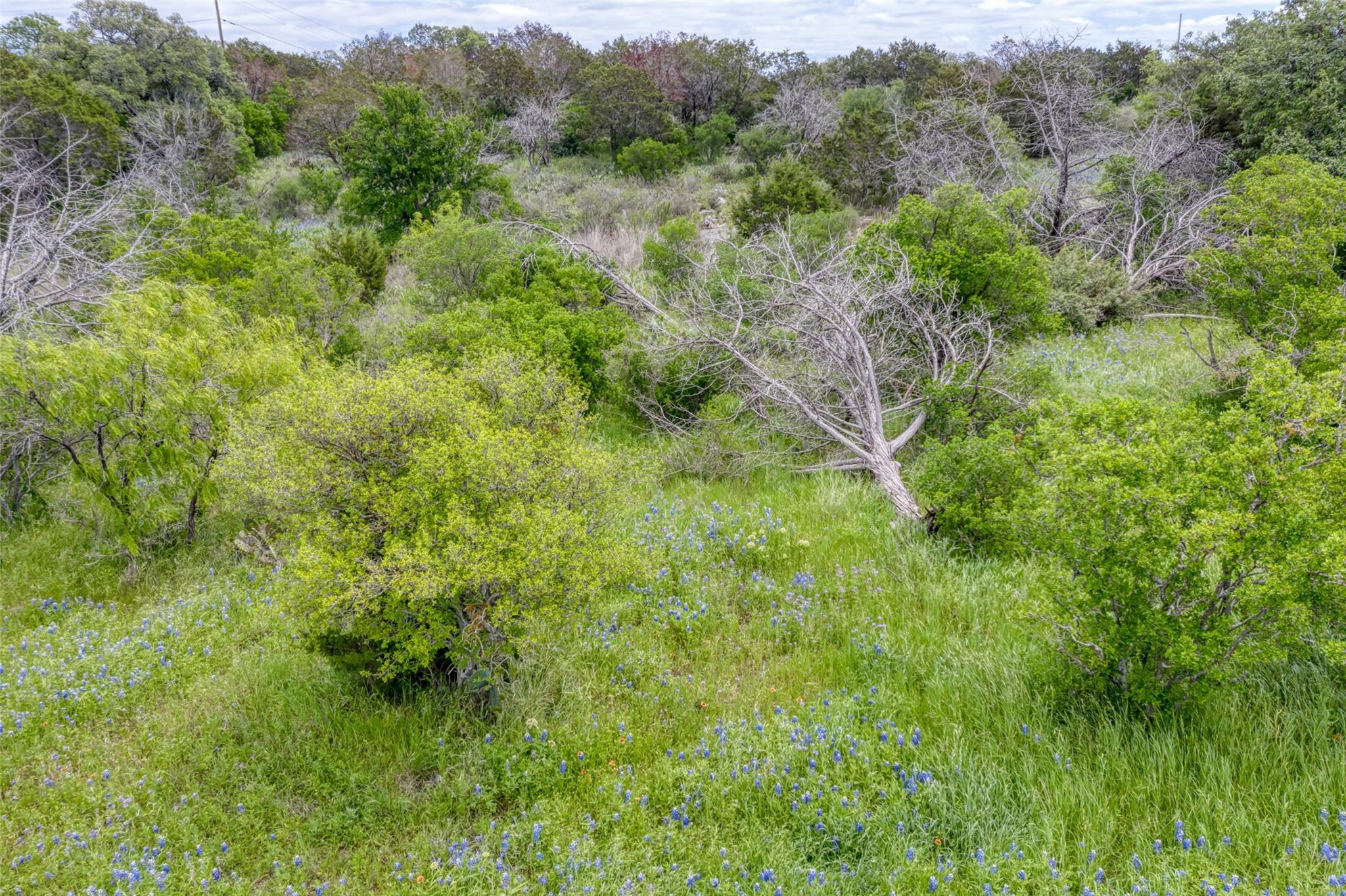 K1166 Mountain Dew Rd Property Photo 3