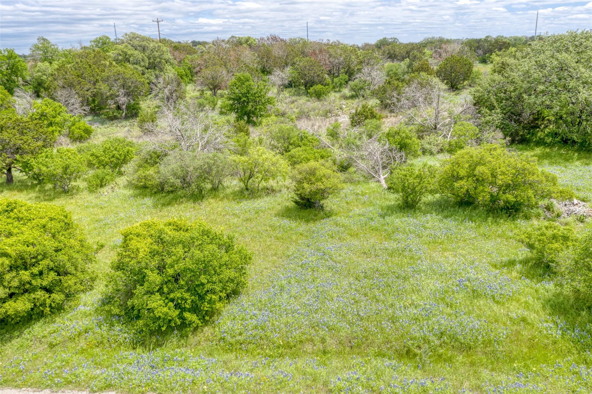 K1166 Mountain Dew Rd Property Photo 4