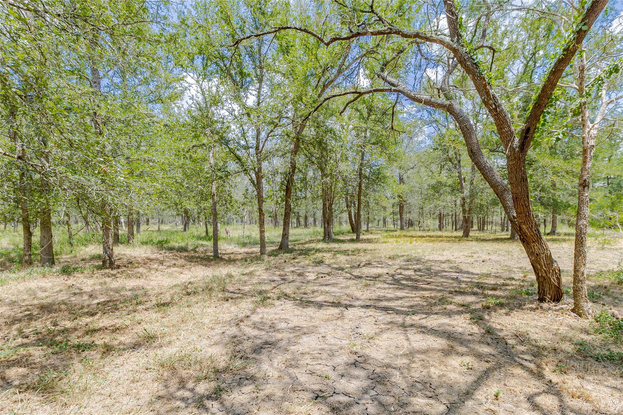 4459 Pettytown Rd Property Photo 5