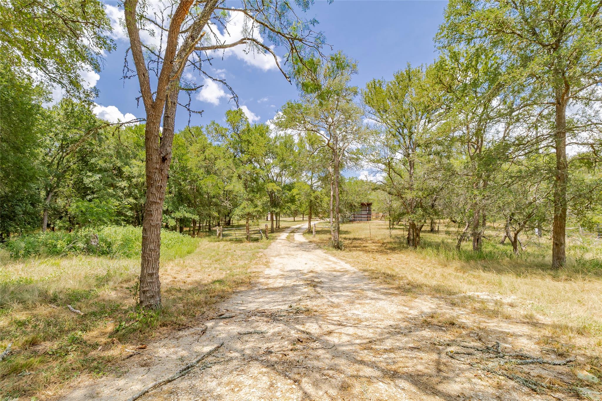 4459 Pettytown Rd Property Photo 11