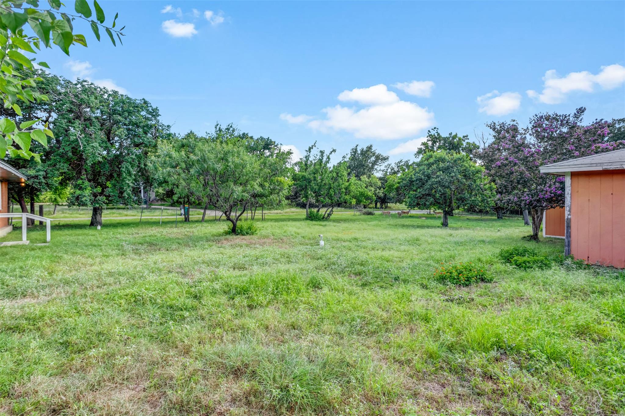 1708 Woodcrest Dr Property Photo 7