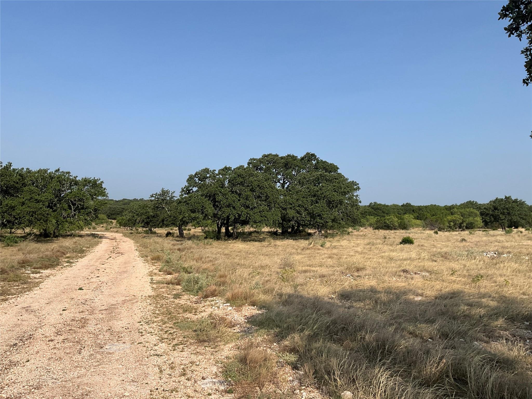 6669552 Property Photo 3