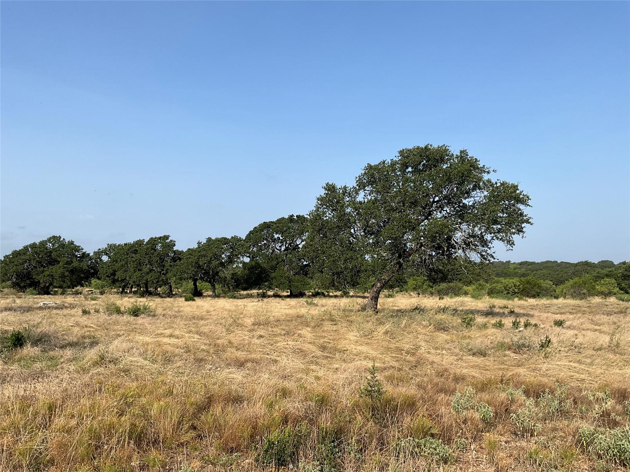 6669552 Property Photo 10
