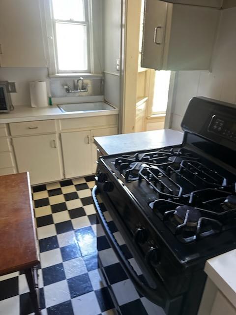 1519 Enfield St Property Photo 5