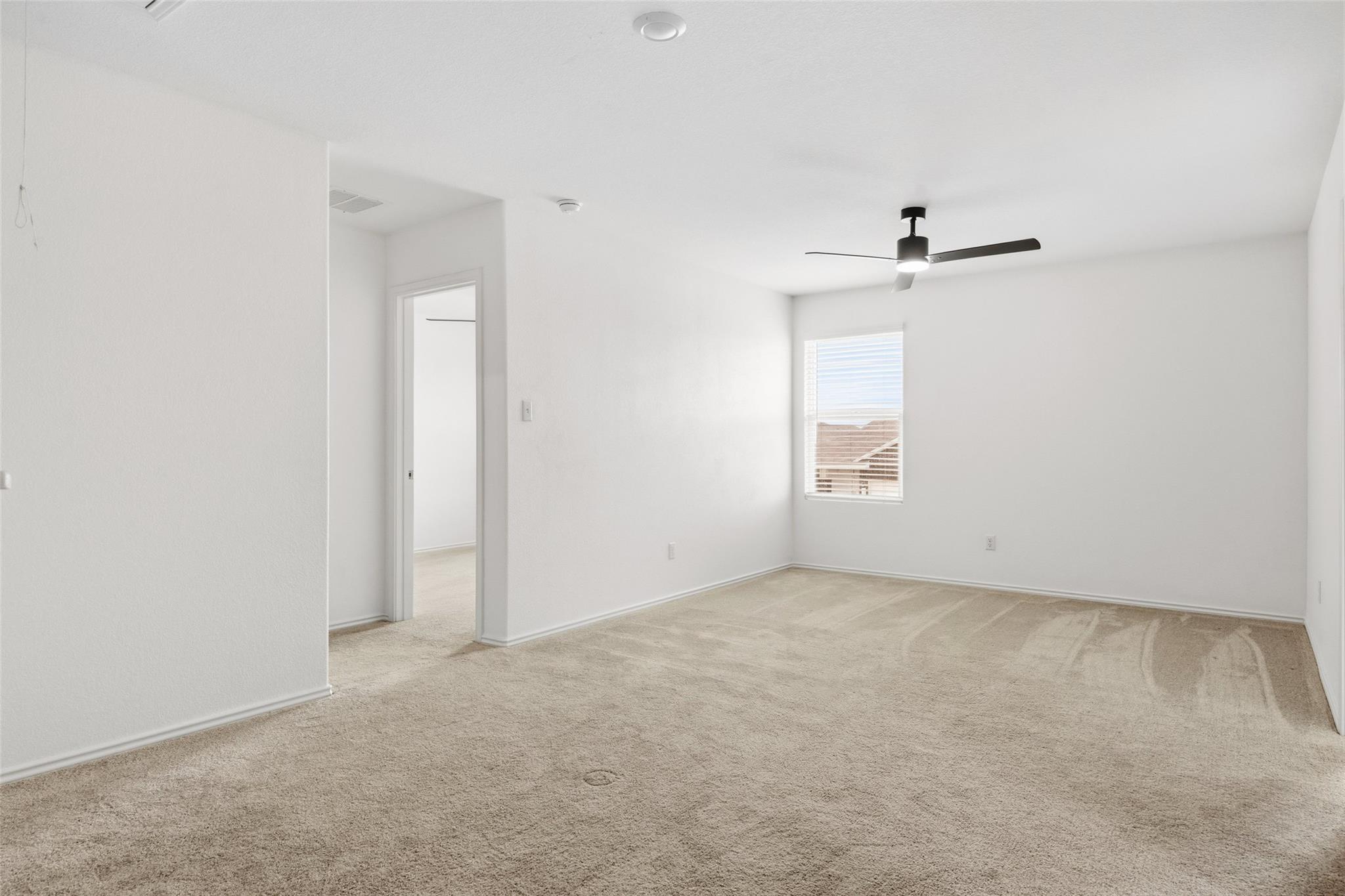636 The Ugly Way Property Photo 20