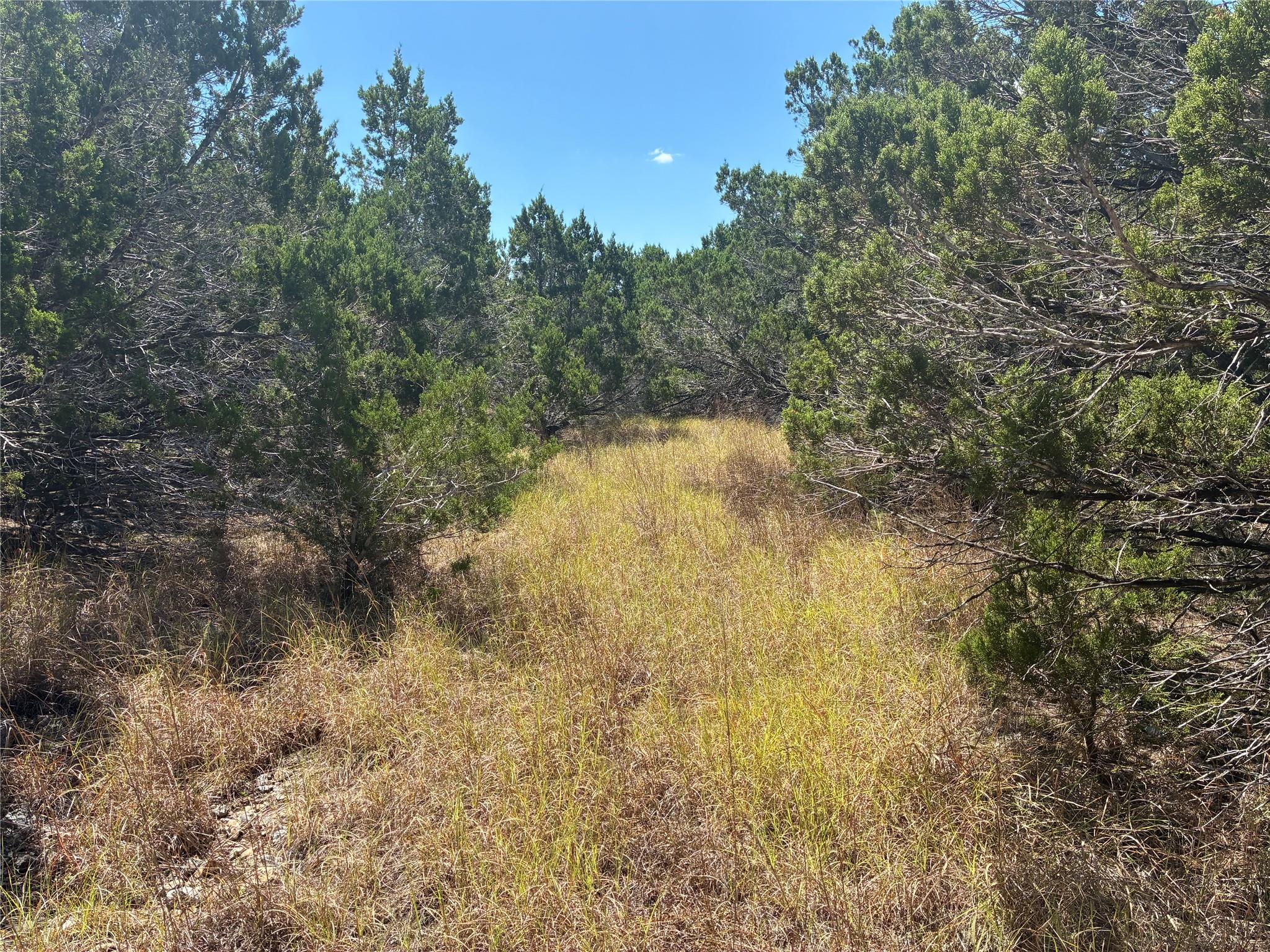 317 W Headwaters Ranch Rd Property Photo 3