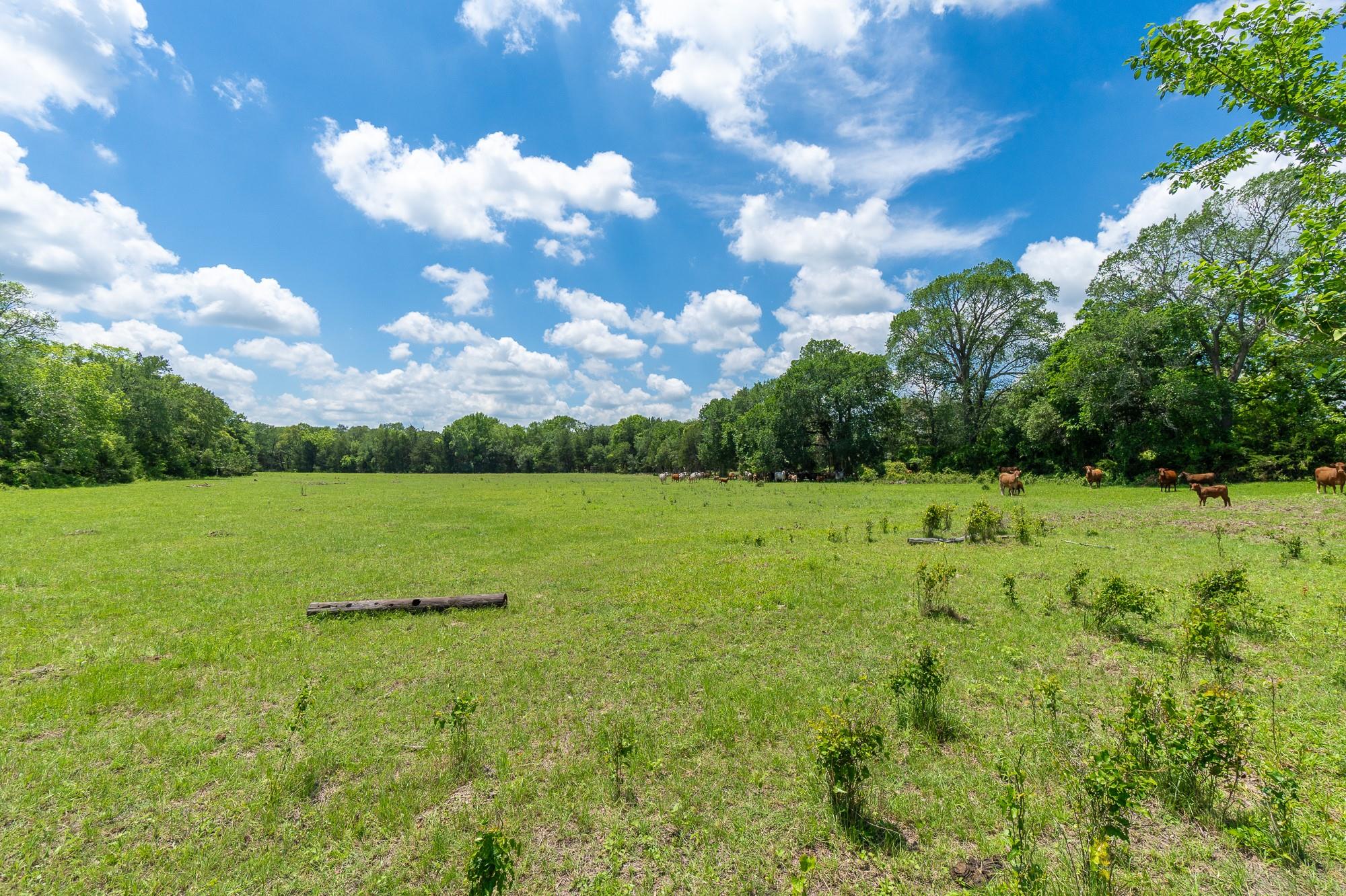 5018 Wolters Rd Property Photo 22