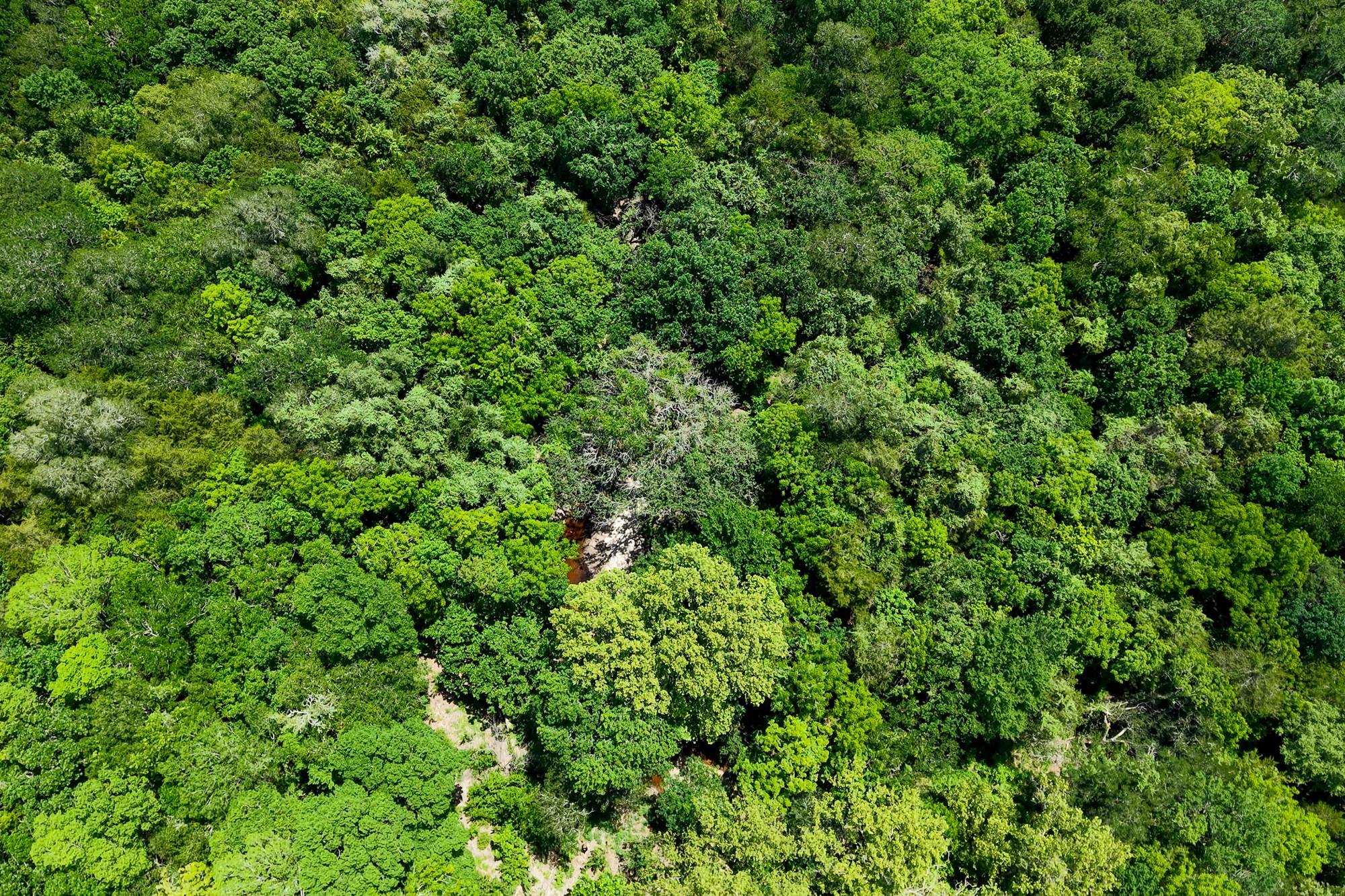5018 Wolters Rd Property Photo 34