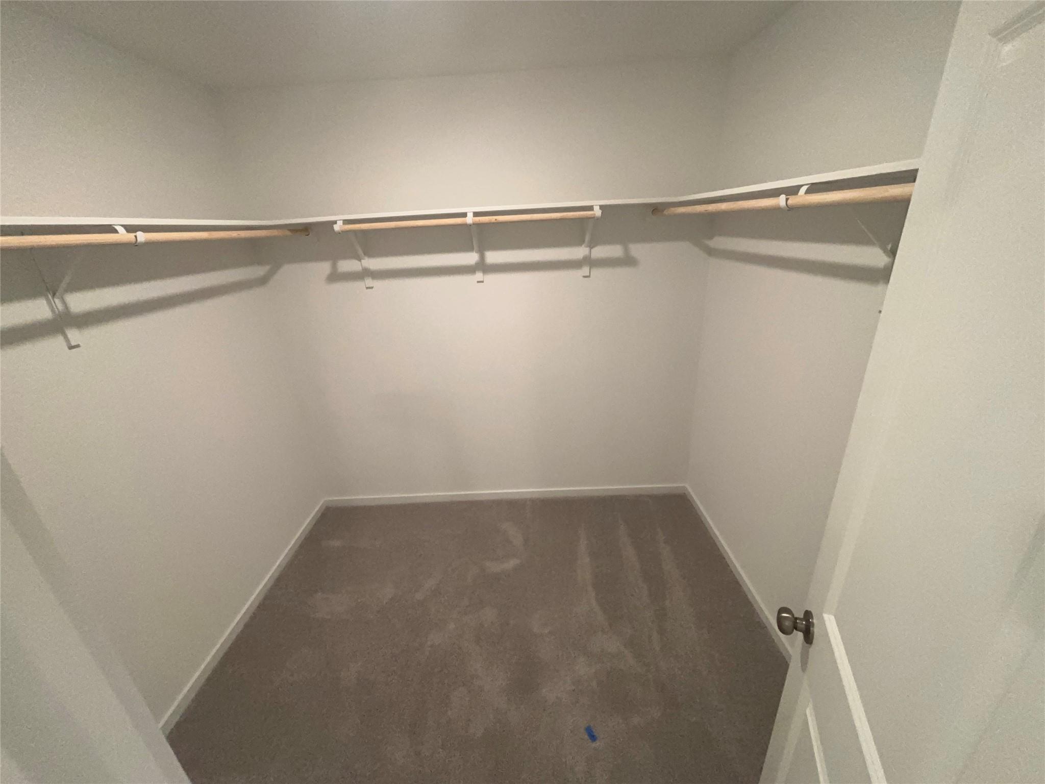 121 Spotbill Ct Property Photo 10