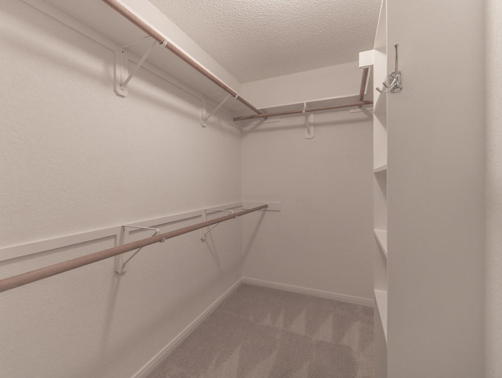 2411 Raintree Path Property Photo 15