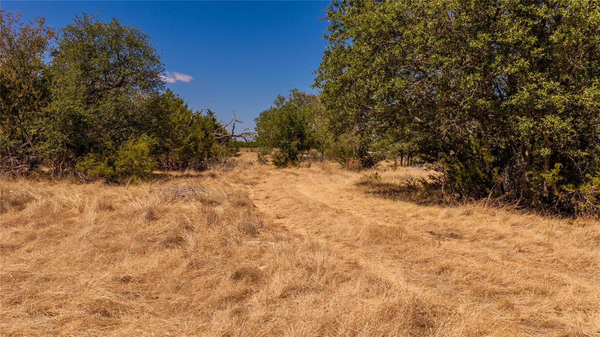 00 County Road 2644 None Property Photo 3