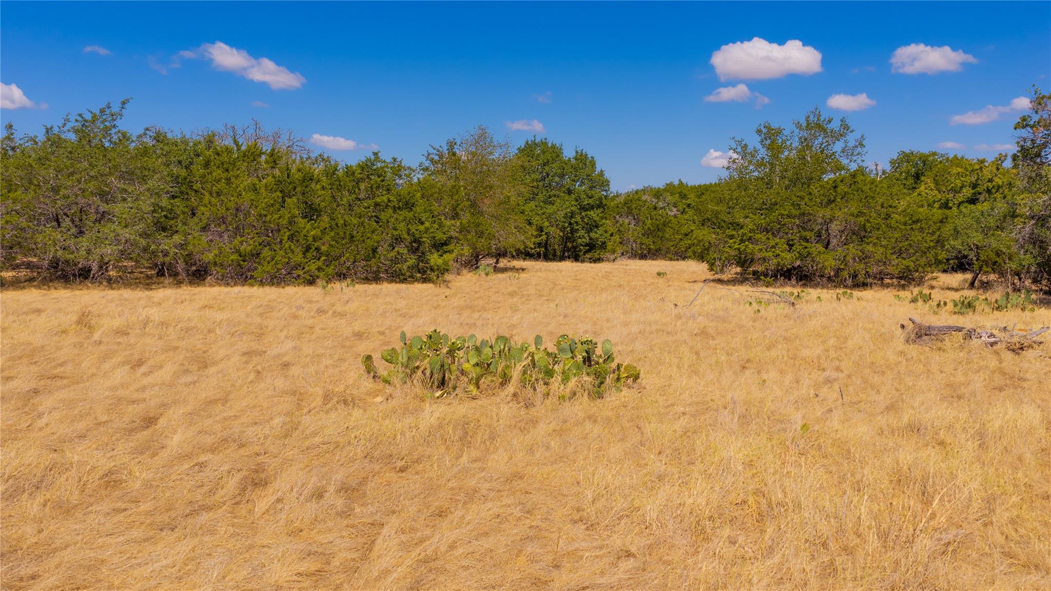 00 County Road 2644 None Property Photo 4