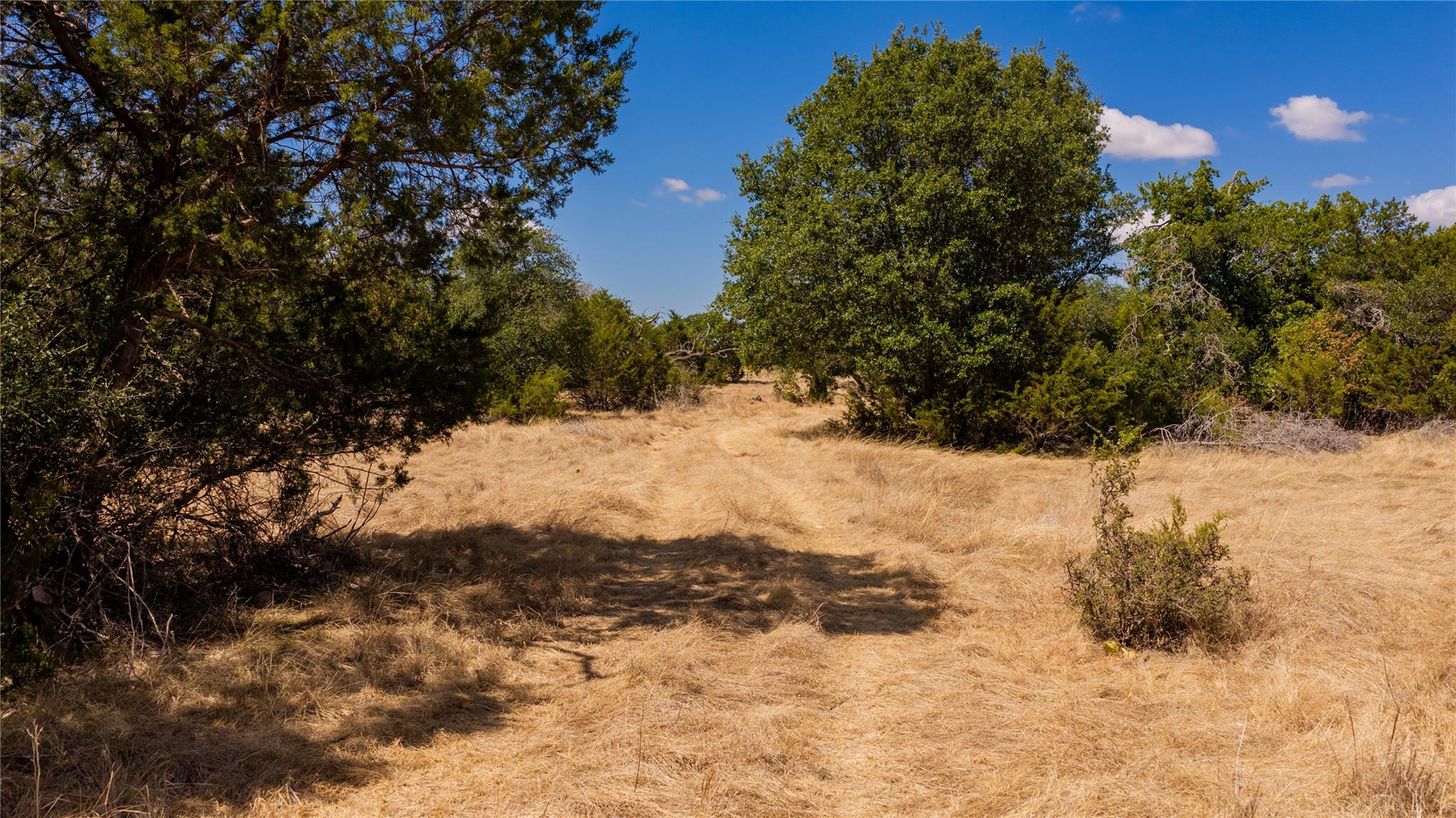 00 County Road 2644 None Property Photo 6