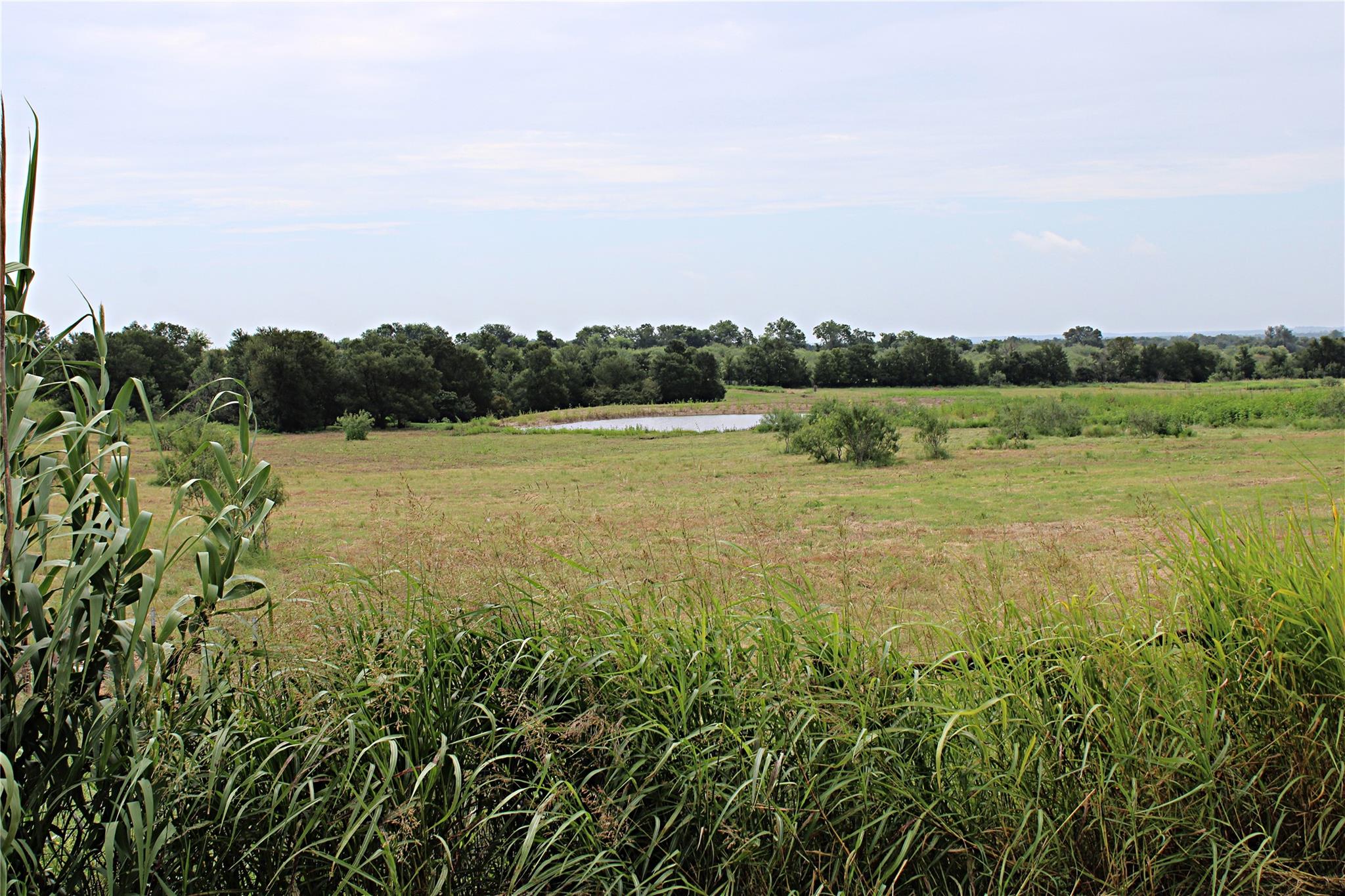 401 County Road 213 None Property Photo 1