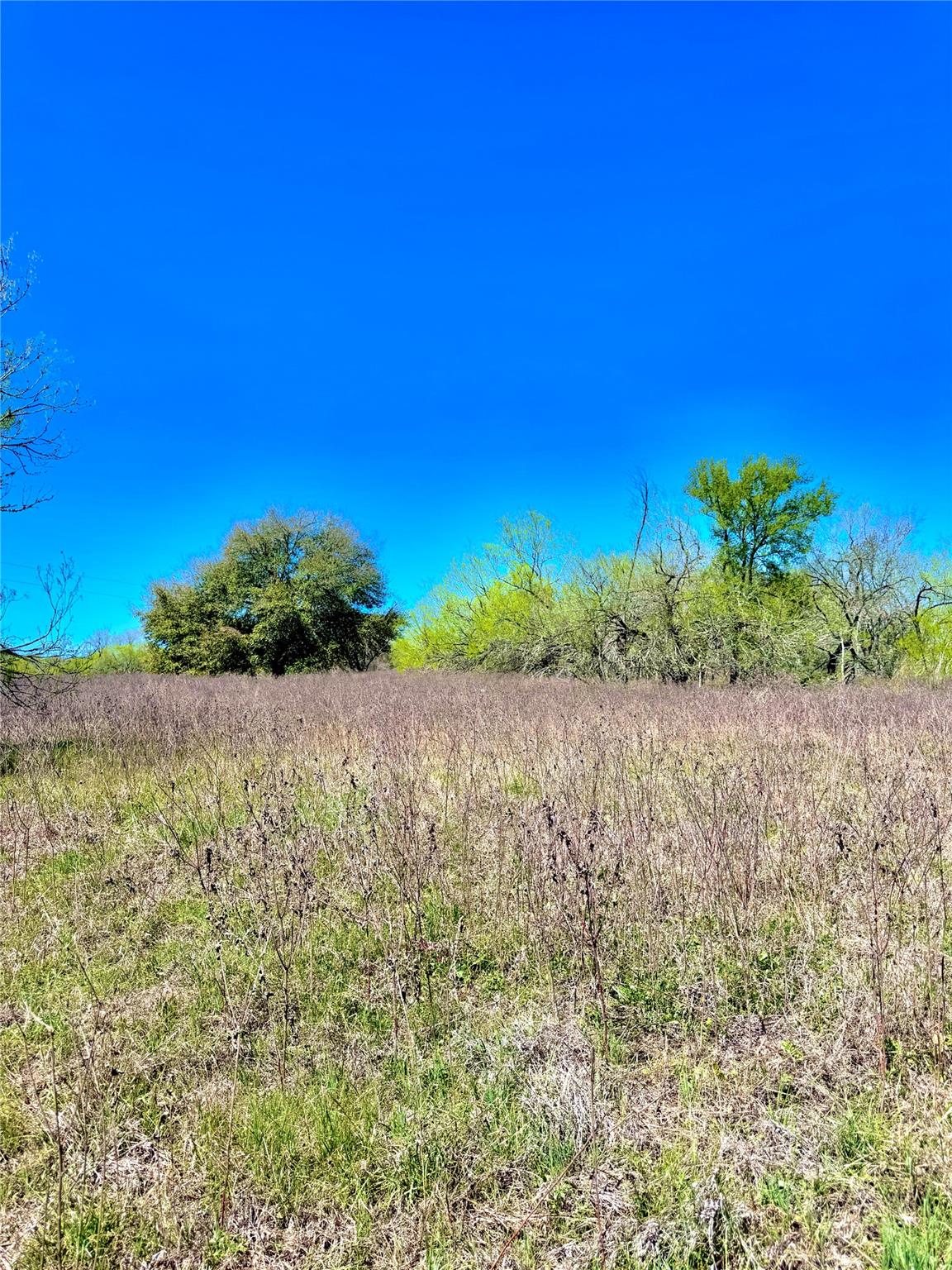 3775 Baker Rd Property Photo 4