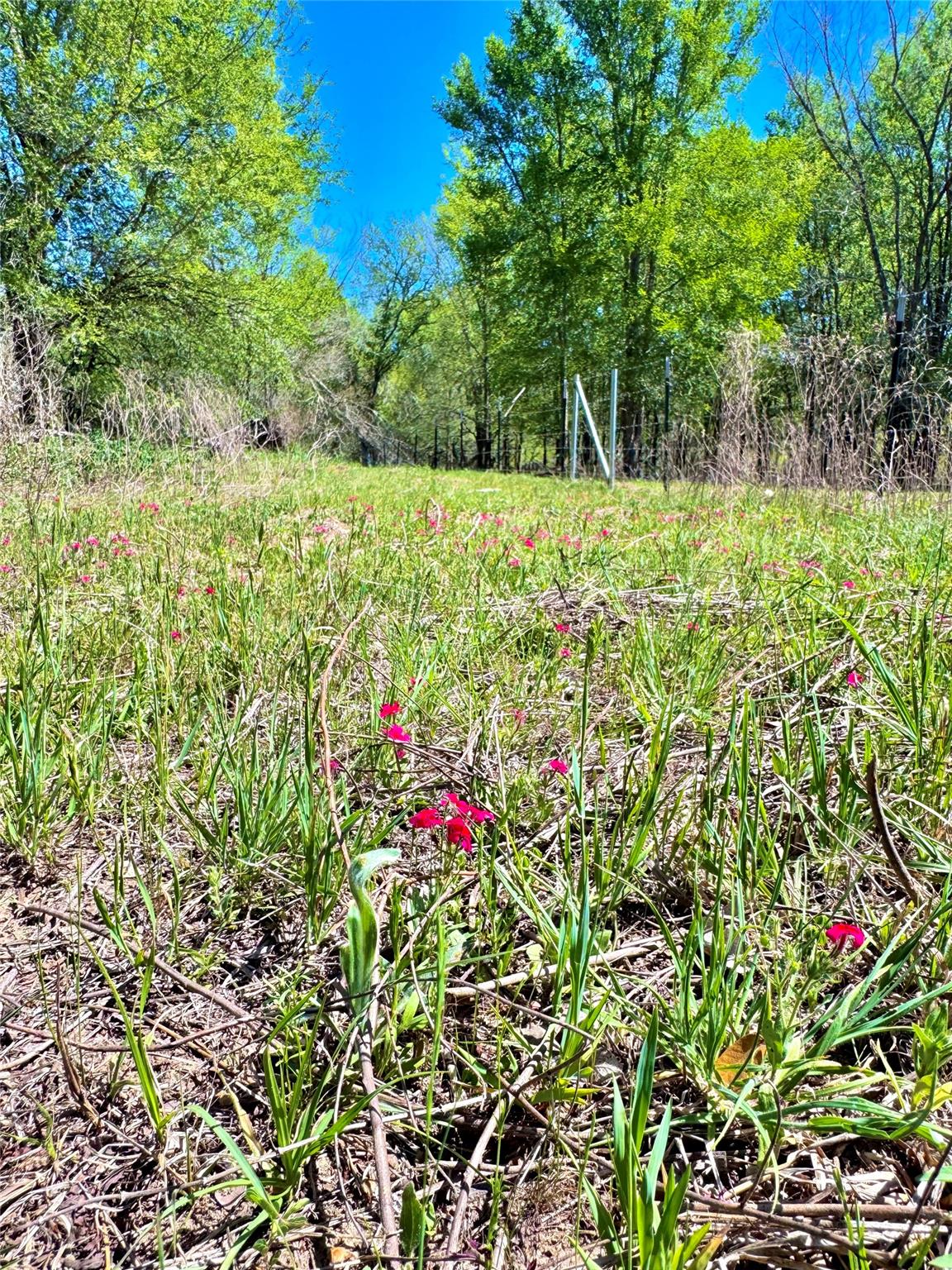 3775 Baker Rd Property Photo 7