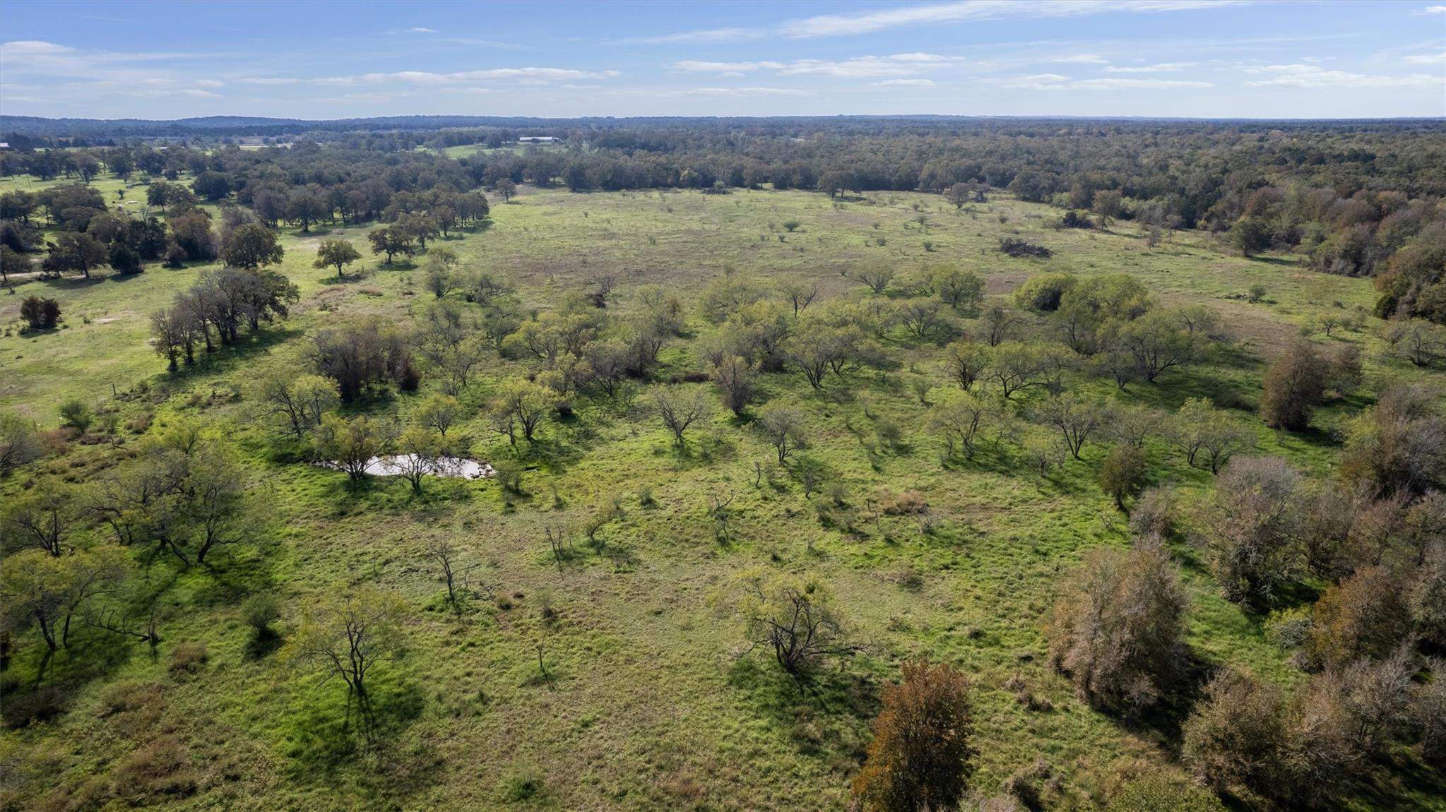 221 Old Waelder Rd Property Photo 14