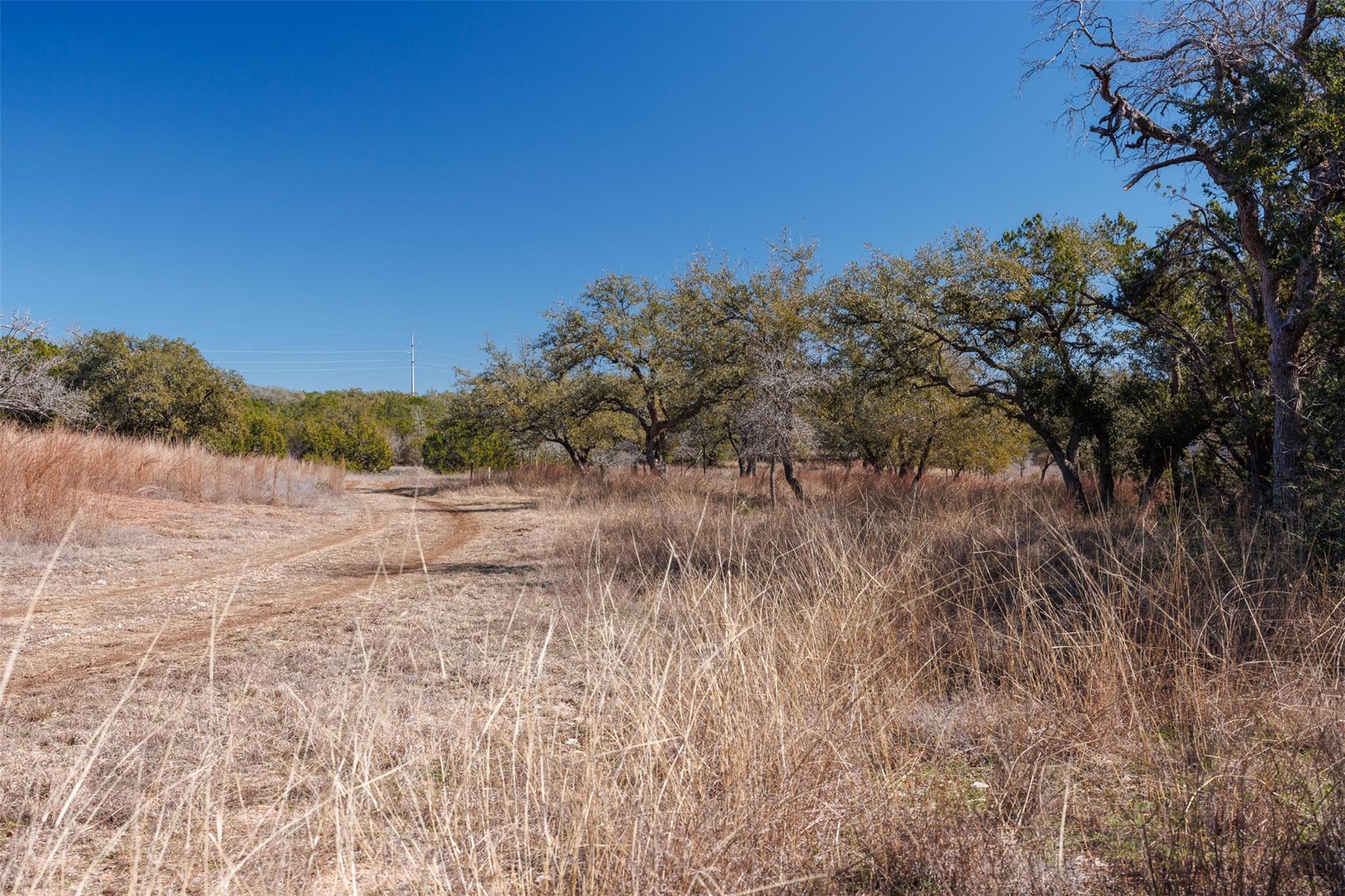 321 Frontier Trl Property Photo 6