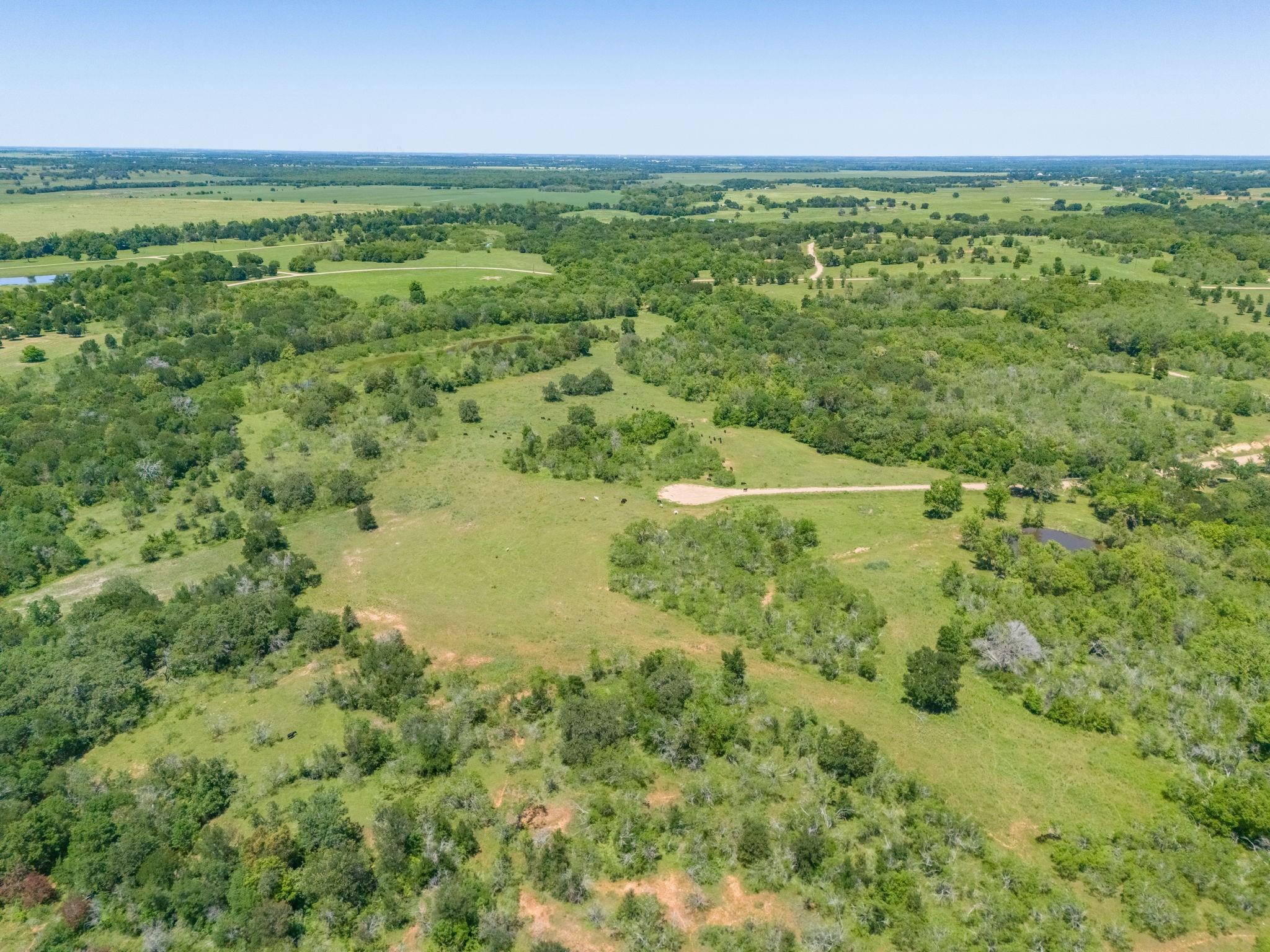 Hwy 77 River Ridge Developments Property Photo 10