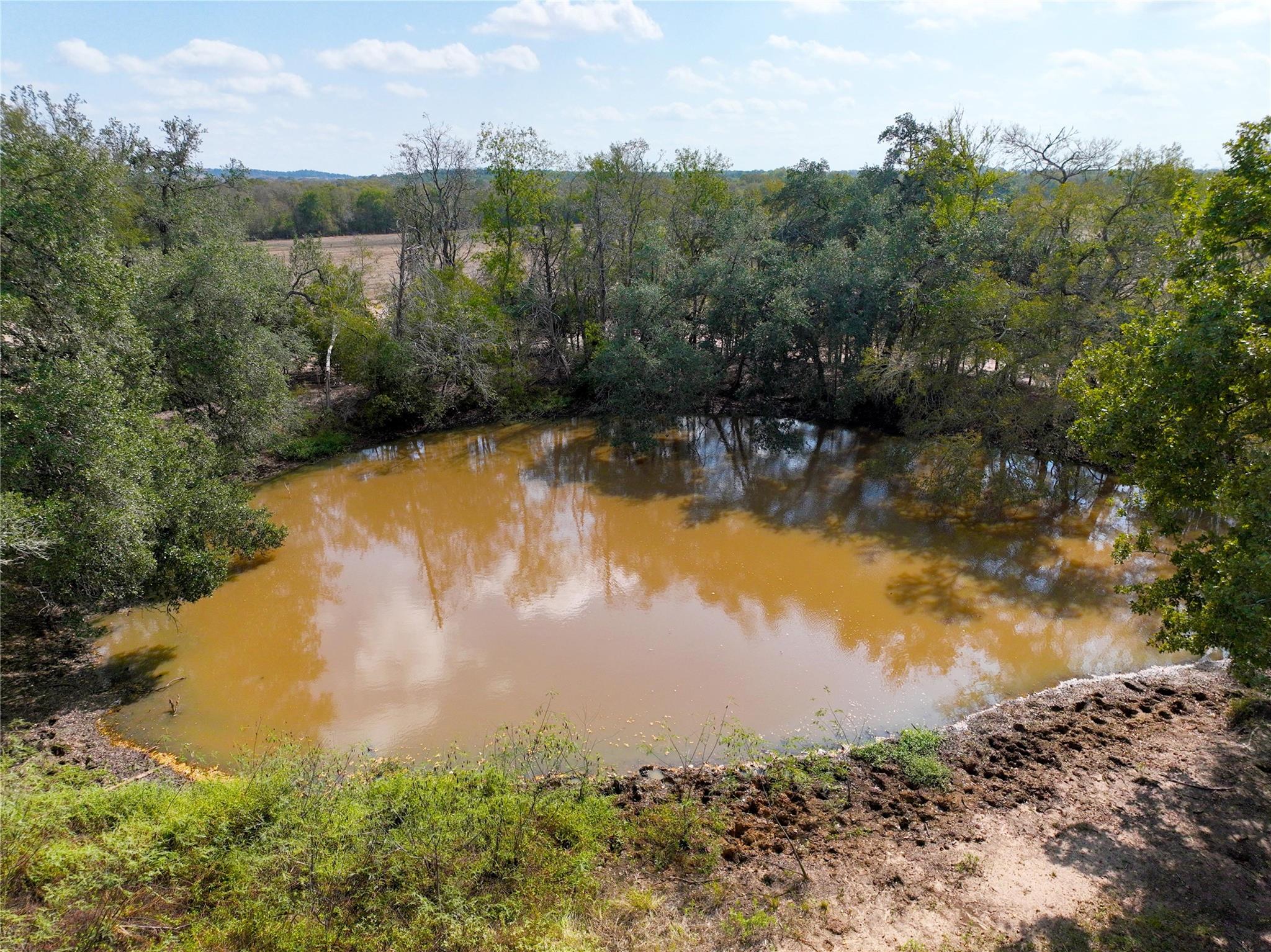 Tbd Grassyville Rd Property Photo 6