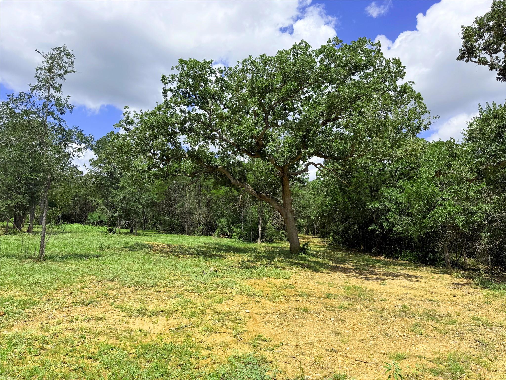 Tbd Grassyville Rd Property Photo 7