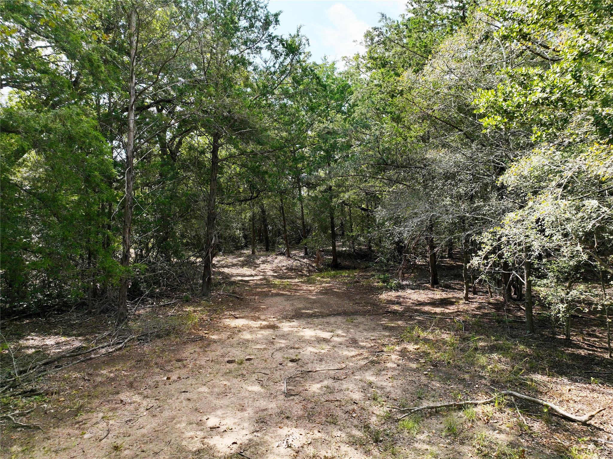 Tbd Grassyville Rd Property Photo 8