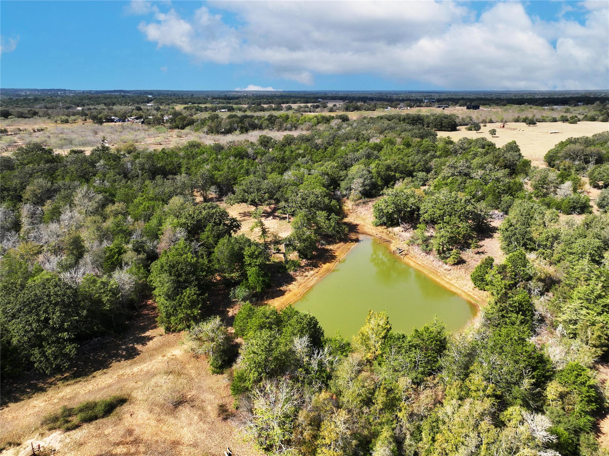 Tbd Grassyville Rd Property Photo 10