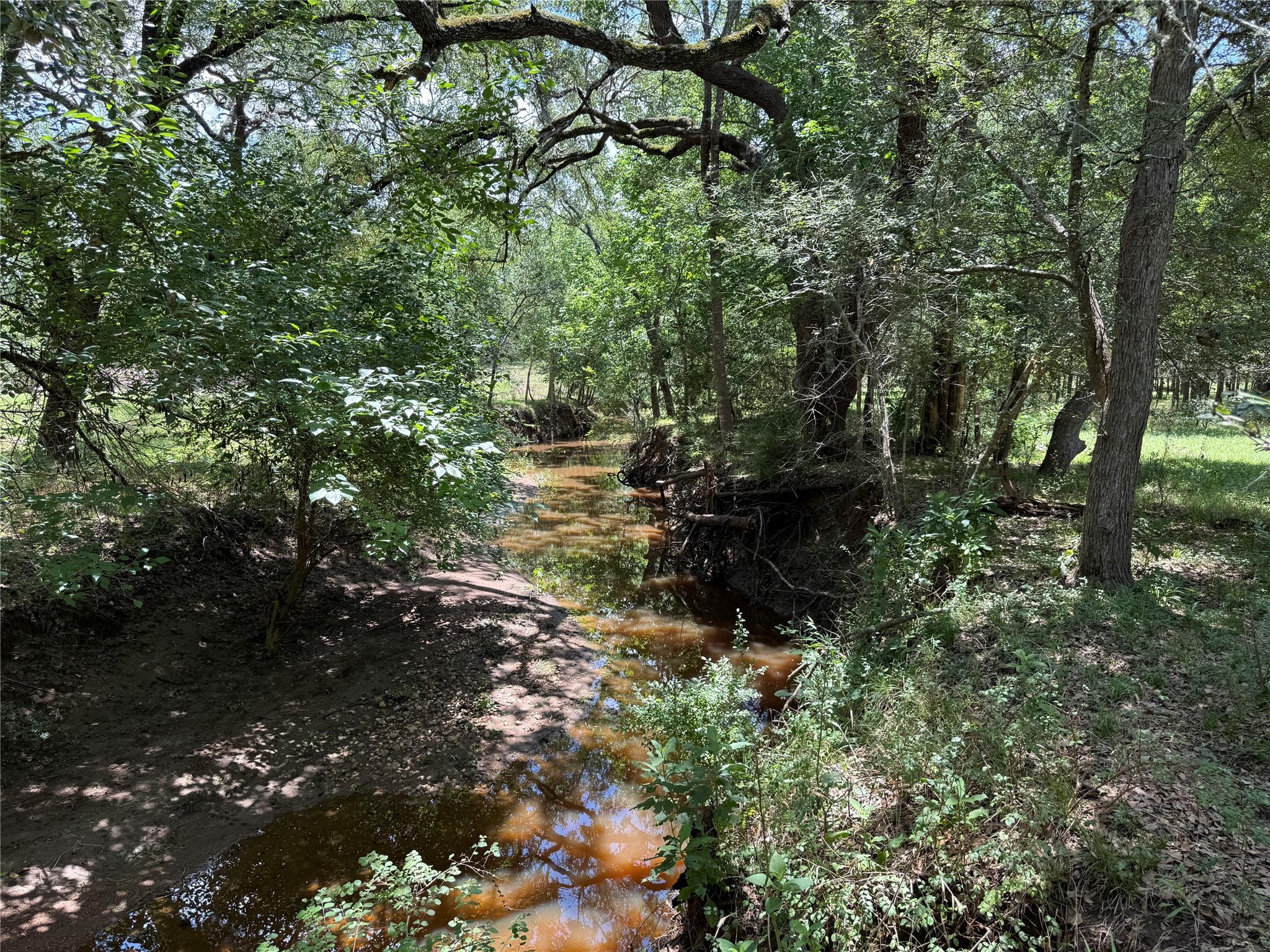 Tbd Grassyville Rd Property Photo 11