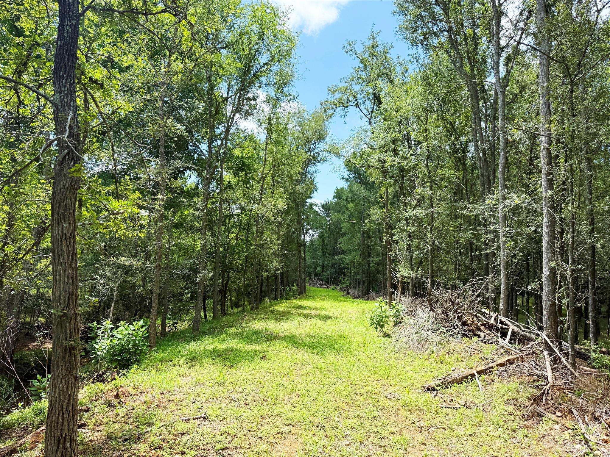 Tbd Grassyville Rd Property Photo 13