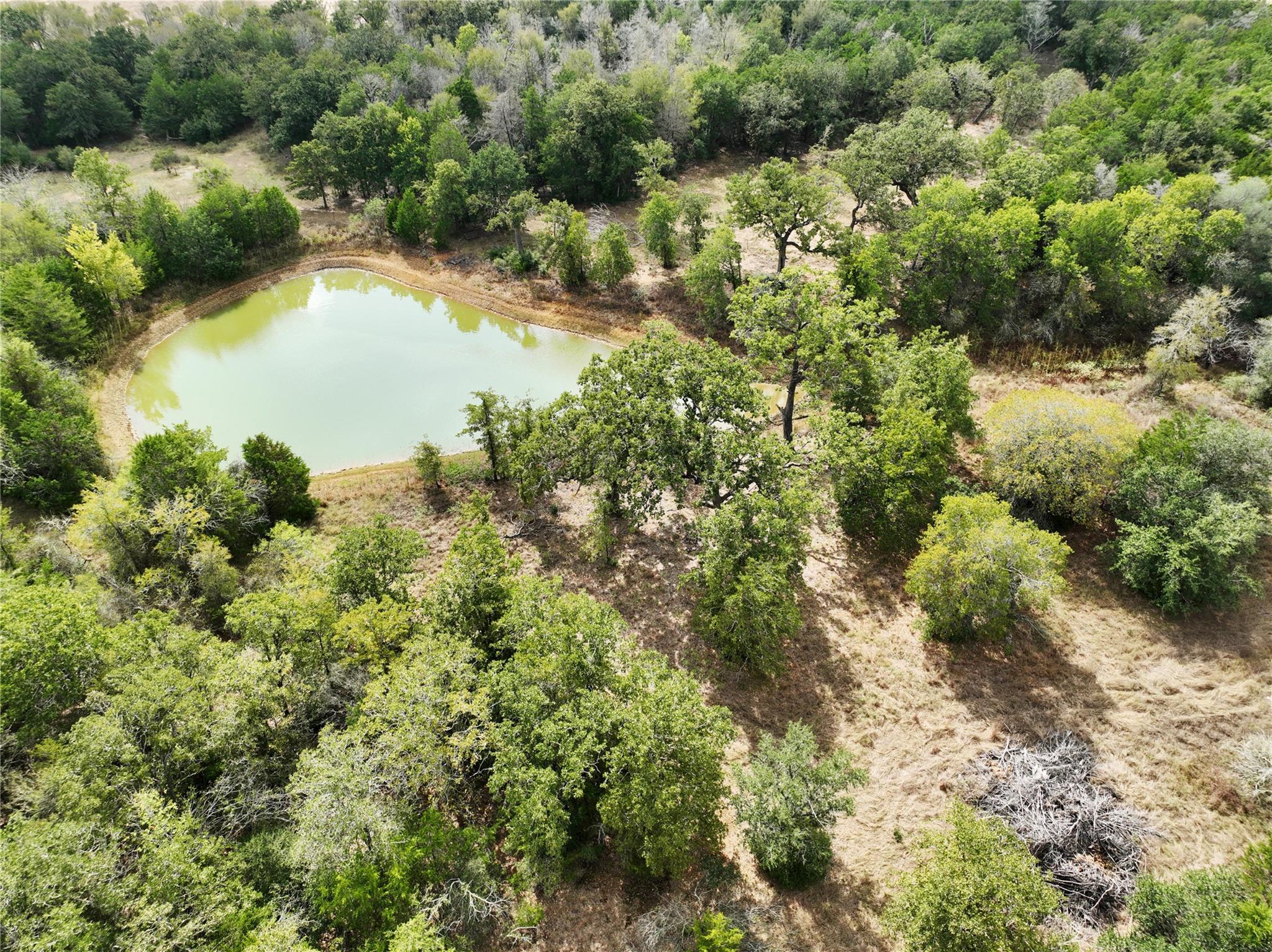 Tbd Grassyville Rd Property Photo 16