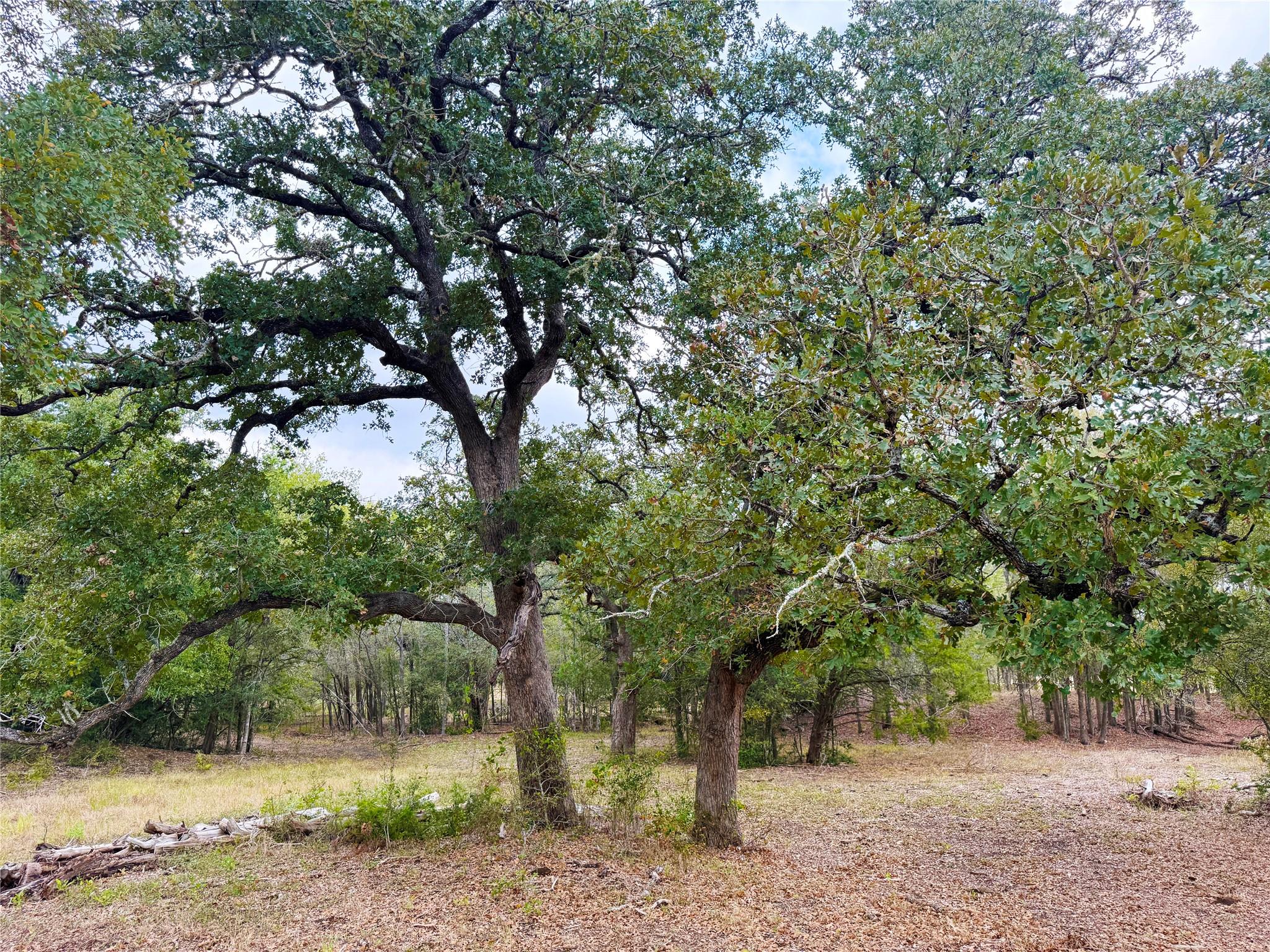Tbd Grassyville Rd Property Photo 17