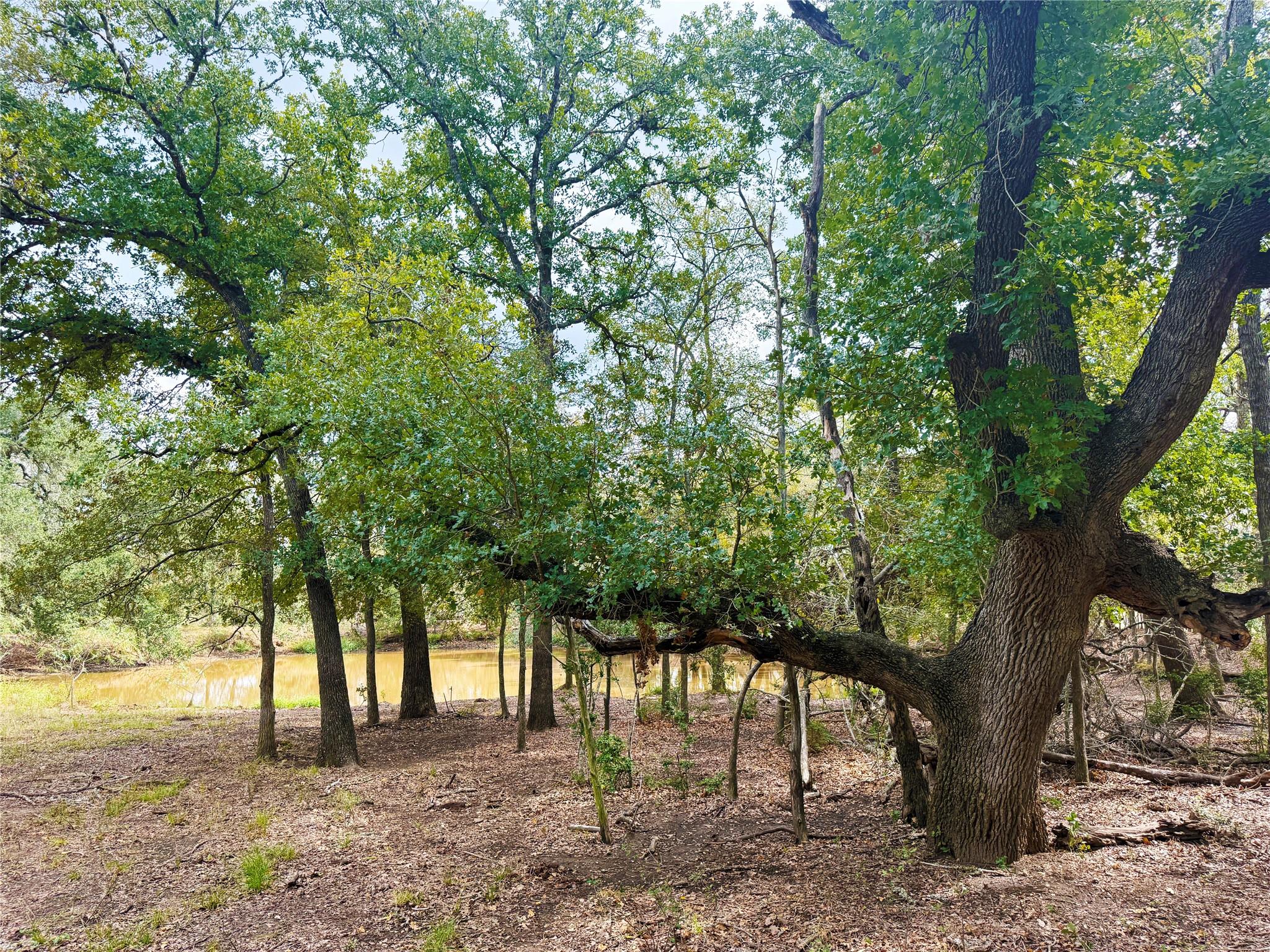 Tbd Grassyville Rd Property Photo 18