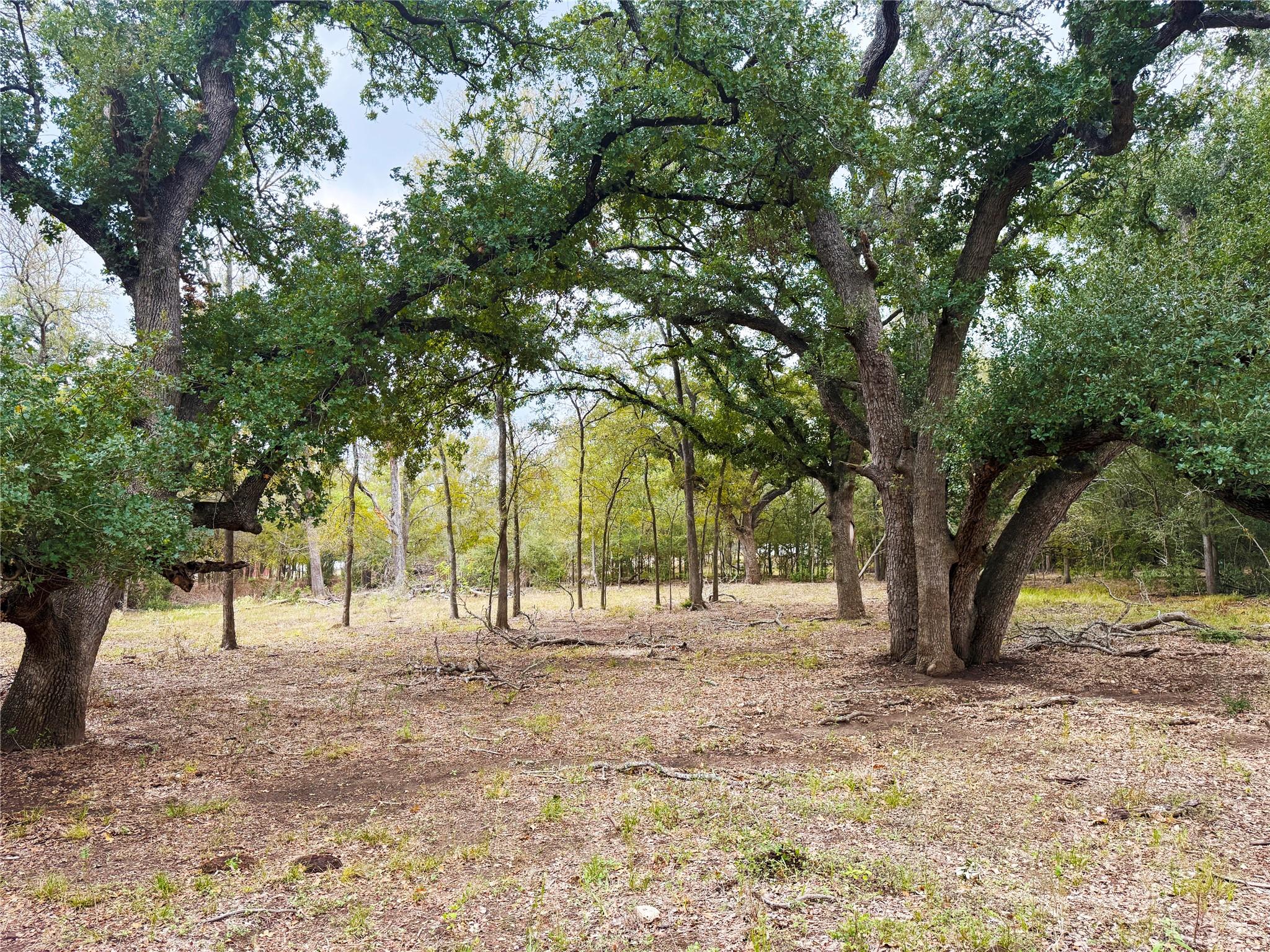 Tbd Grassyville Rd Property Photo 19