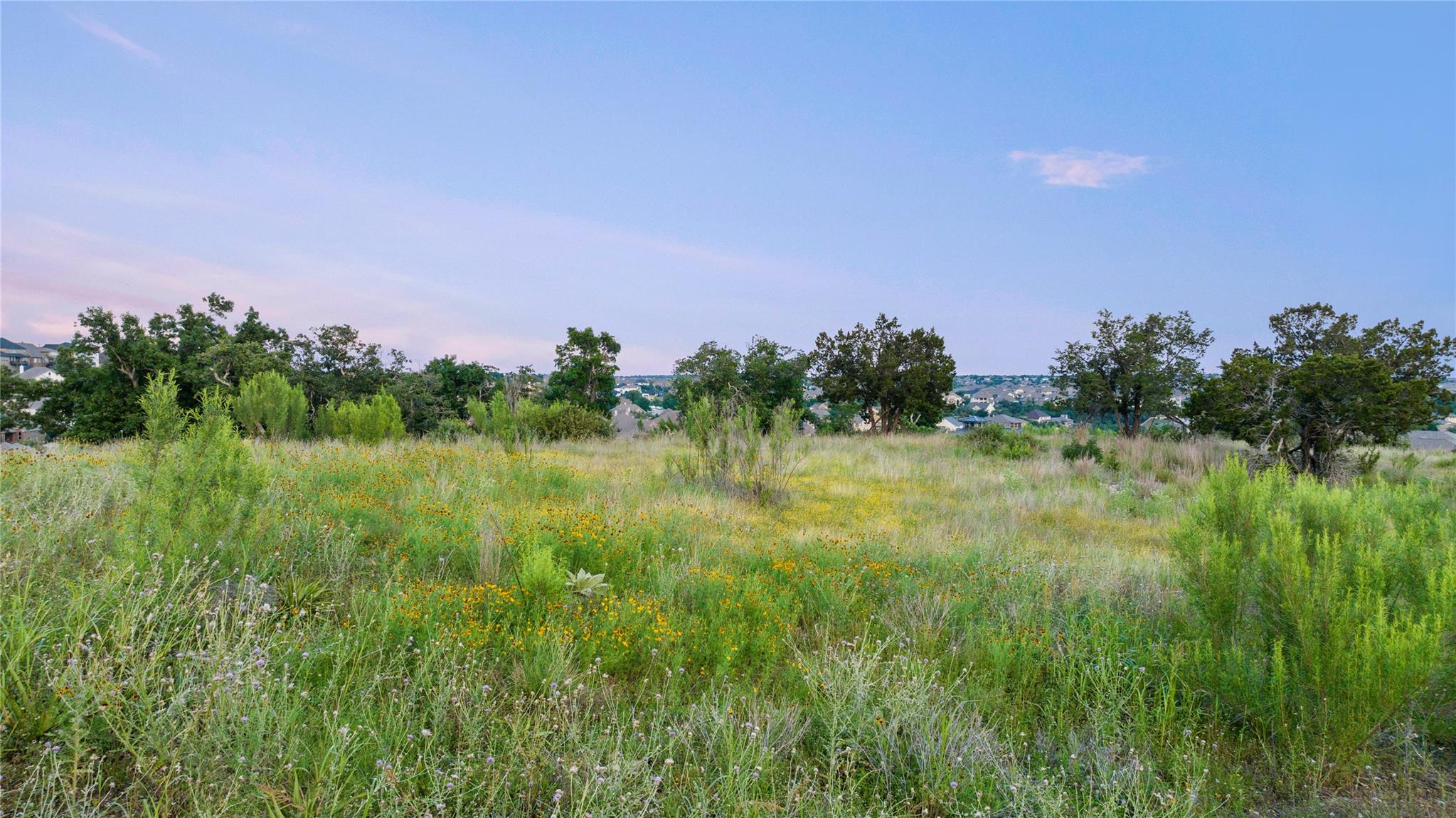 1688 Cantina Sky Dr Property Photo 2