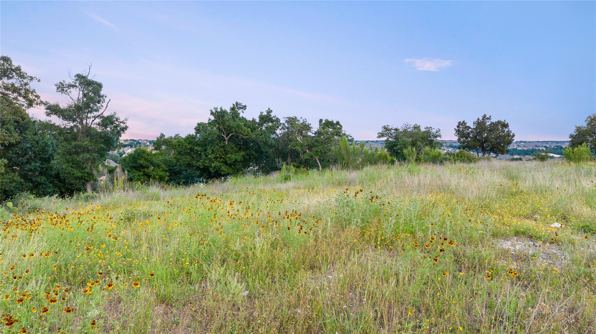 1688 Cantina Sky Dr Property Photo 3