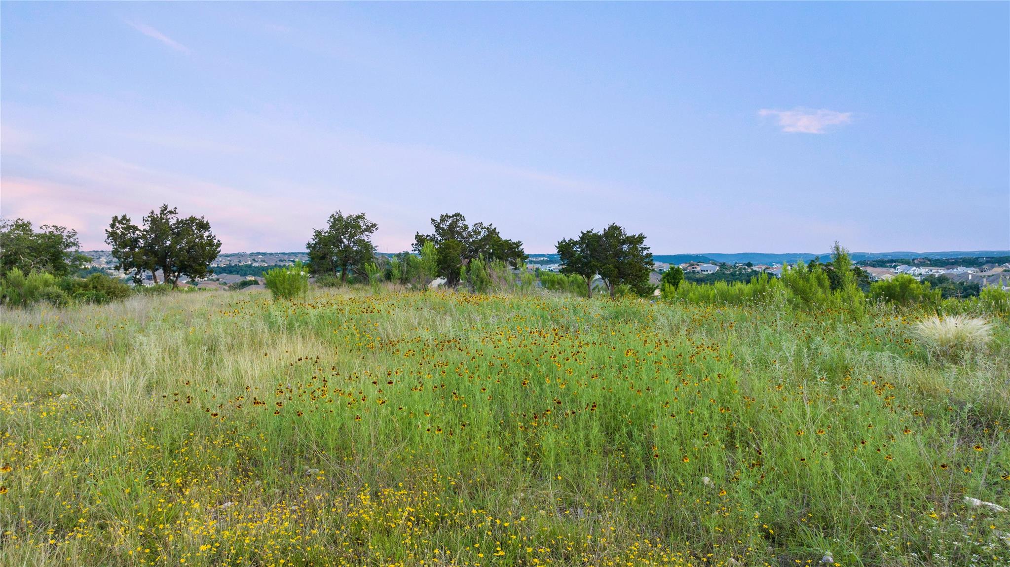 1688 Cantina Sky Dr Property Photo 4