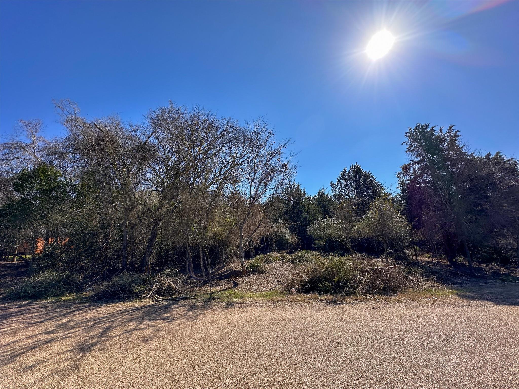 Lot 15 Alta Vista Dr Property Photo 2