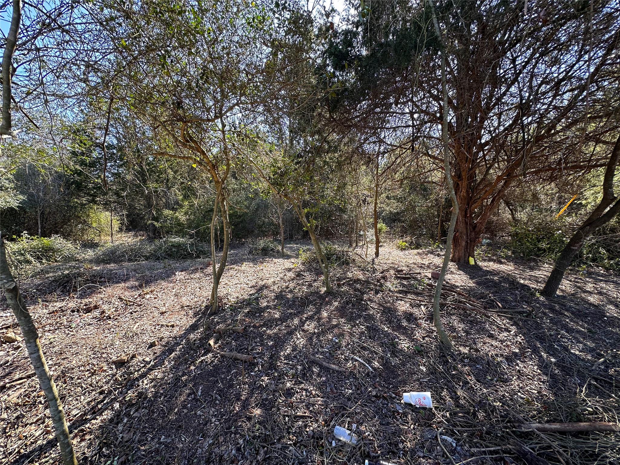 Lot 15 Alta Vista Dr Property Photo 5