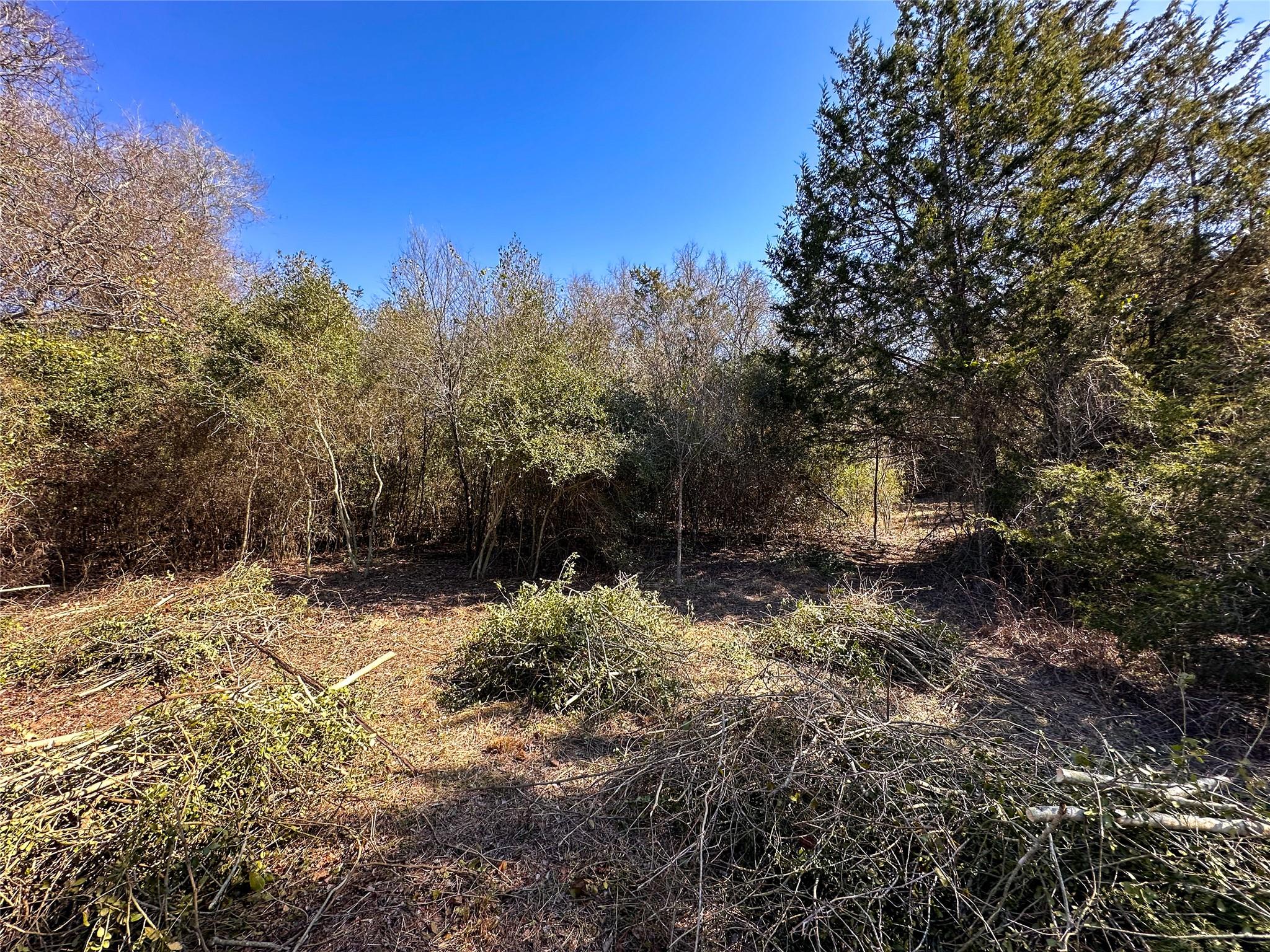 Lot 15 Alta Vista Dr Property Photo 6