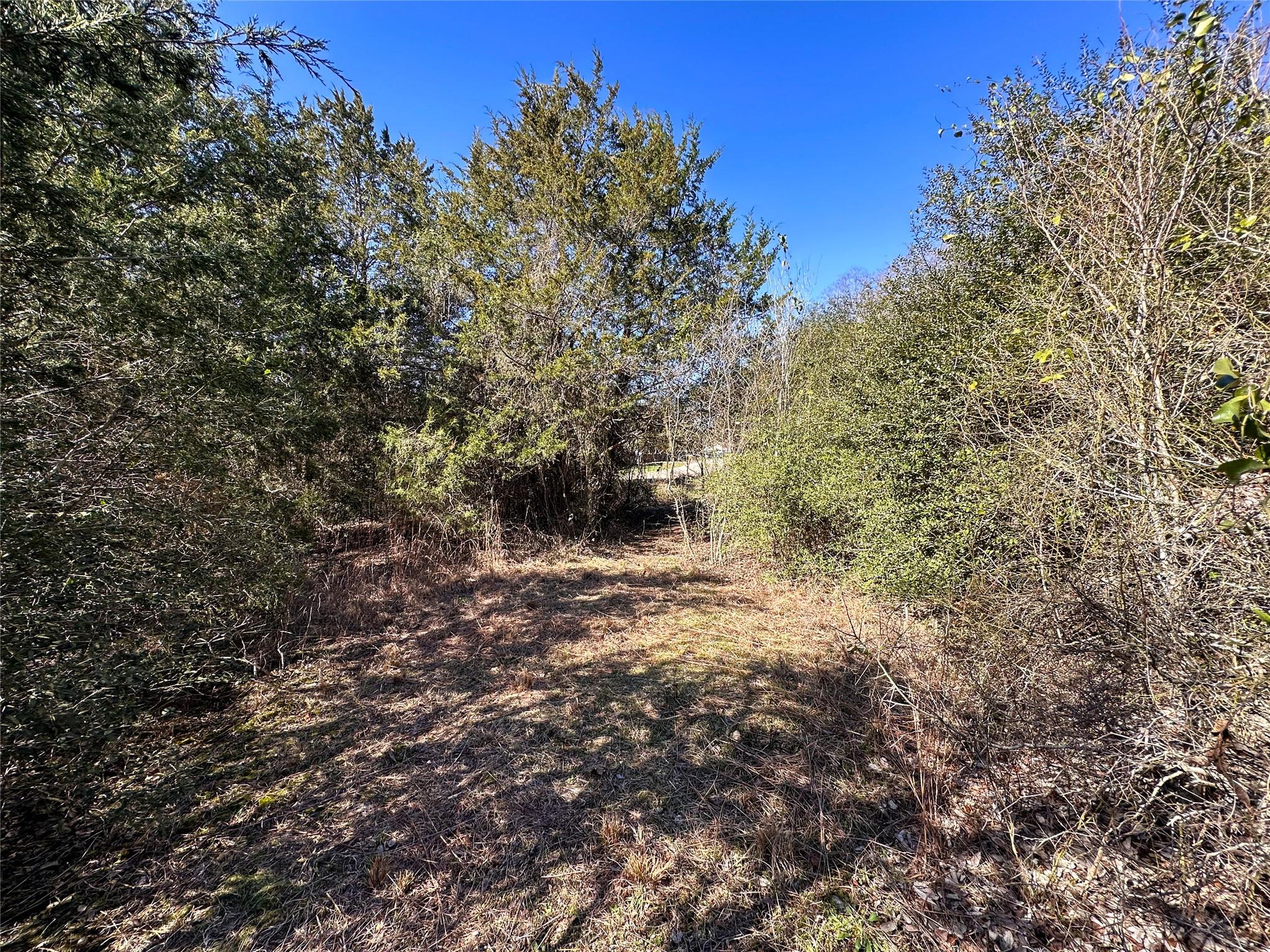 Lot 15 Alta Vista Dr Property Photo 7