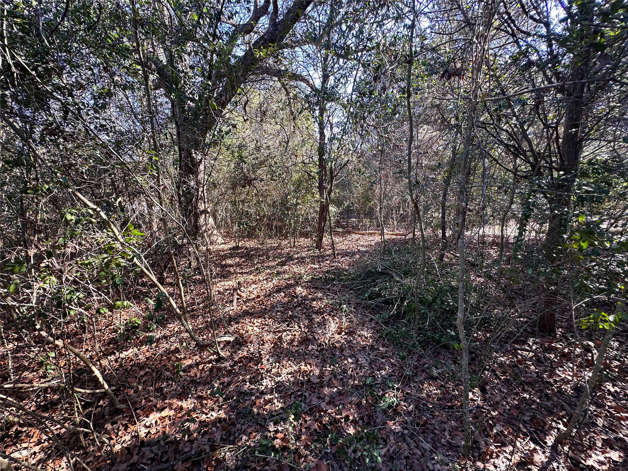 Lot 15 Alta Vista Dr Property Photo 9