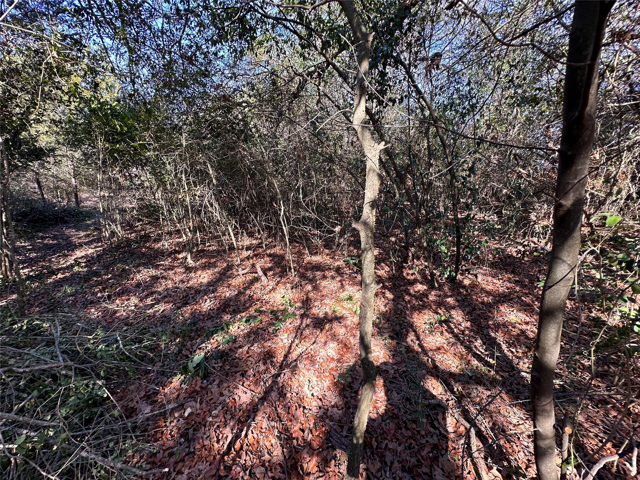 Lot 15 Alta Vista Dr Property Photo 11