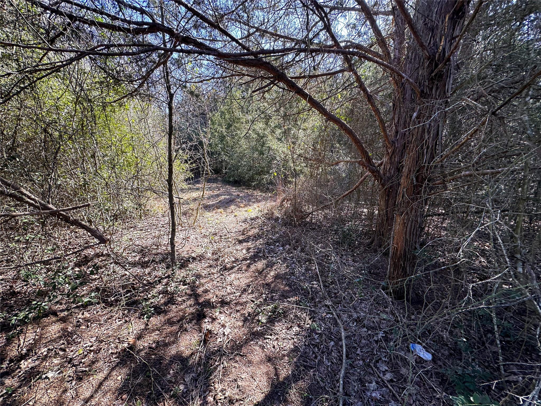 Lot 15 Alta Vista Dr Property Photo 14