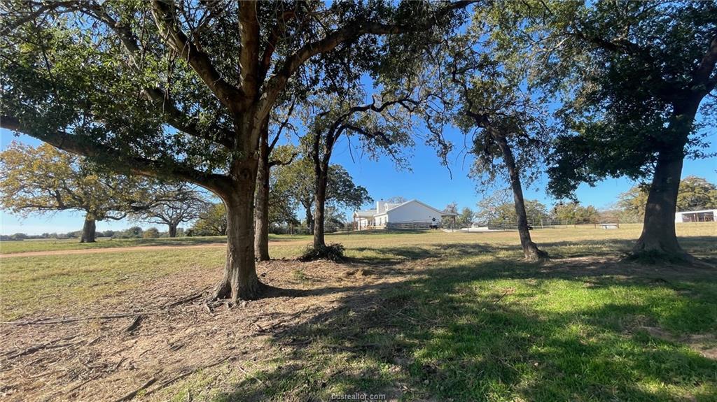 13541 E Us Hwy 79 (+/-18.7 Acres) None Property Photo 6