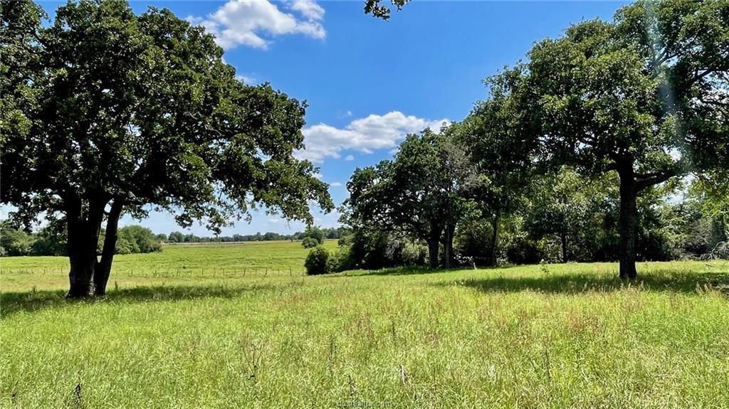 13541 E Us Hwy 79 (+/-18.7 Acres) None Property Photo 29