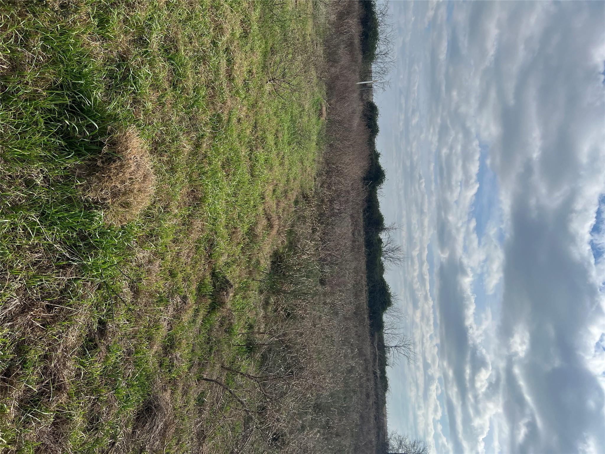 Tbd Lot 1 Beal Rd Property Photo 1