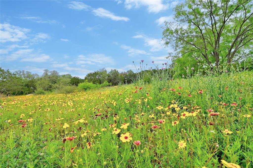 Lot 18 South Cv Property Photo 3