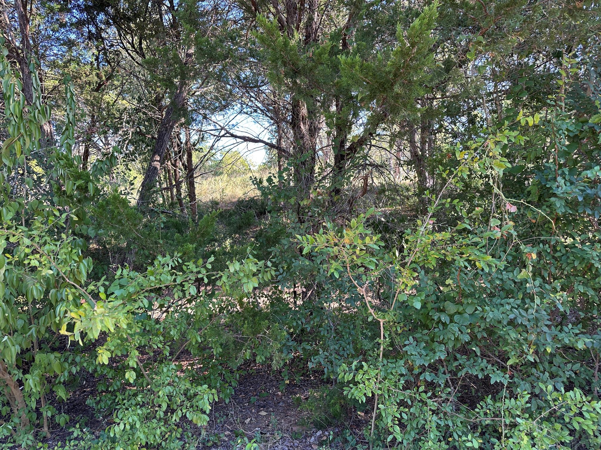 Lot 9 Robin Run Property Photo 1